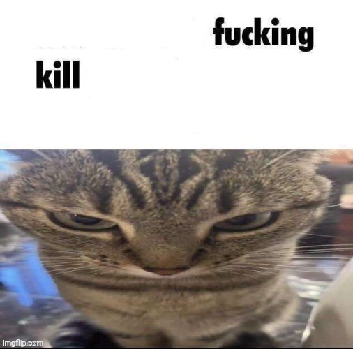 How about I kill you | image tagged in how about i kill you | made w/ Imgflip meme maker