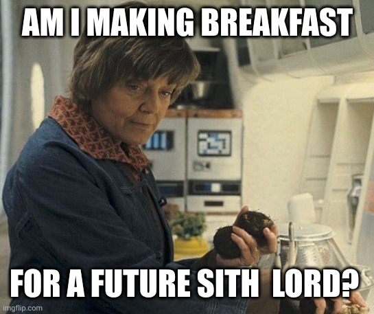 Breakfast for Luke Vader? | AM I MAKING BREAKFAST; FOR A FUTURE SITH  LORD? | image tagged in aunt beru is a bad mofo,star wars,sith lord,luke skywalker,memes,breakfast | made w/ Imgflip meme maker