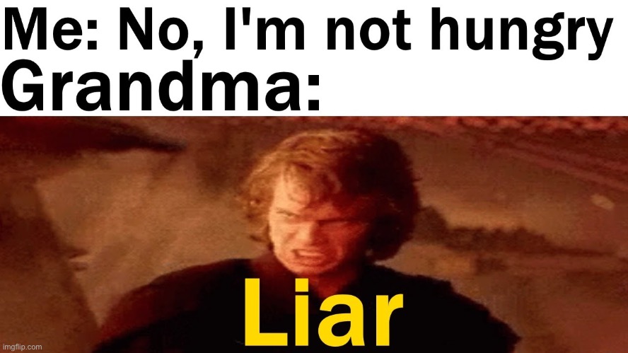 image tagged in anakin liar | made w/ Imgflip meme maker