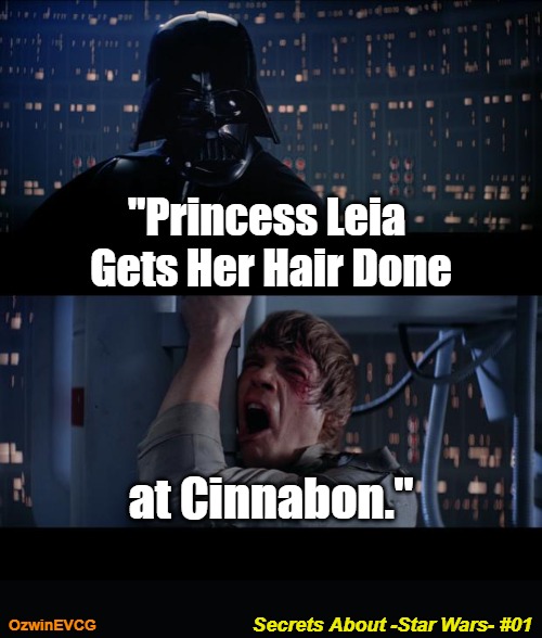 Secrets About -Star Wars- #01 | "Princess Leia 

Gets Her Hair Done; at Cinnabon."; Secrets About -Star Wars- #01; OzwinEVCG | image tagged in star wars no,princess leia,real talk,cinnabon,family secret,darth vader luke skywalker | made w/ Imgflip meme maker