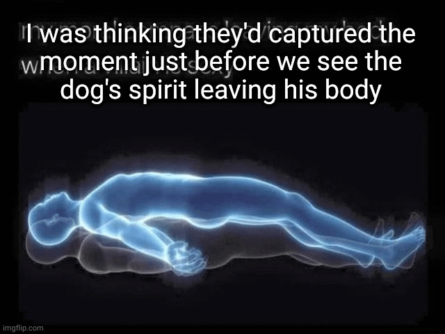 The Moral Compass Leaving My Body | I was thinking they'd captured the
moment just before we see the
dog's spirit leaving his body | image tagged in the moral compass leaving my body | made w/ Imgflip meme maker