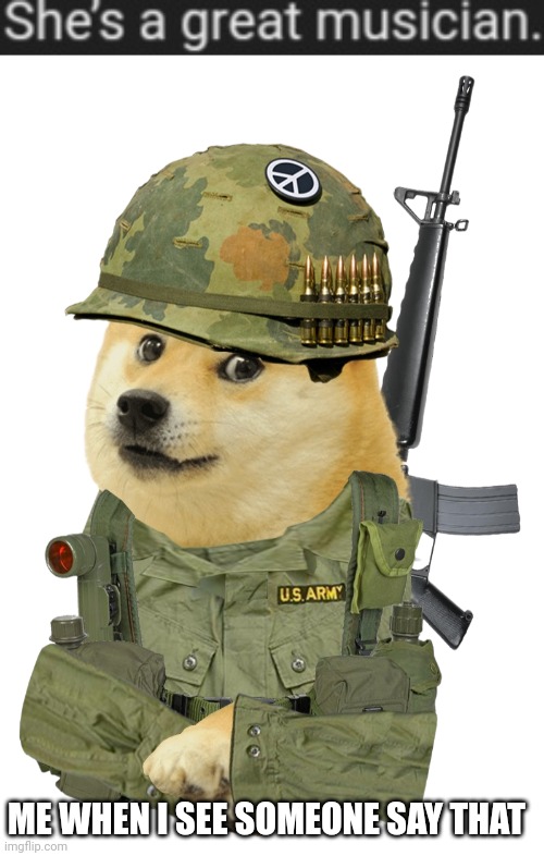 ME WHEN I SEE SOMEONE SAY THAT | image tagged in vietnam war doge,taylor swift is trash,taylor swiftie | made w/ Imgflip meme maker