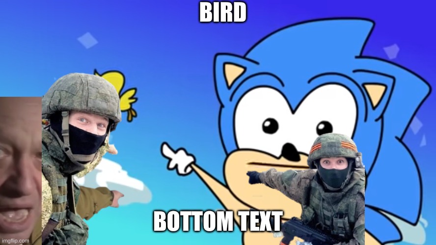 Guys Look, A Birdie (Sonic Edition!) | BIRD BOTTOM TEXT | image tagged in guys look a birdie sonic edition | made w/ Imgflip meme maker