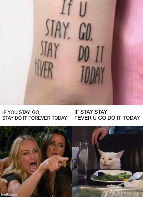 IF YOU STAY, GO, STAY DO IT FOREVER TODAY; IF STAY STAY FEVER U GO DO IT TODAY | image tagged in memes,woman yelling at cat | made w/ Imgflip meme maker