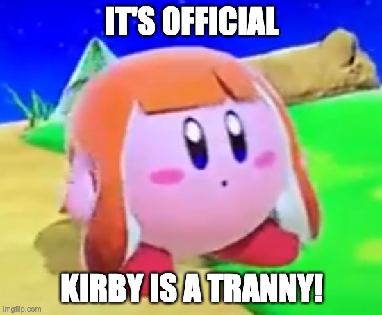 Inkling Kirby | IT'S OFFICIAL; KIRBY IS A TRANNY! | image tagged in inkling kirby | made w/ Imgflip meme maker