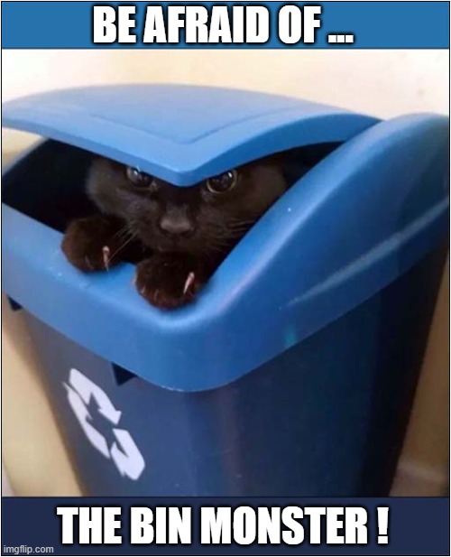 Scary Noises Coming From The Kitchen ? | BE AFRAID OF ... THE BIN MONSTER ! | image tagged in cats,kitchen,bin,monster | made w/ Imgflip meme maker