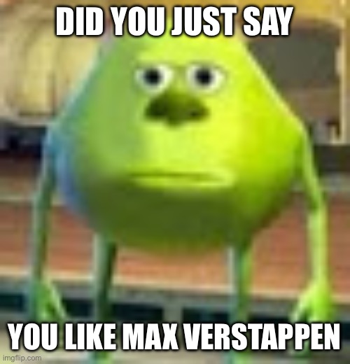 Sully Wazowski | DID YOU JUST SAY; YOU LIKE MAX VERSTAPPEN | image tagged in sully wazowski | made w/ Imgflip meme maker