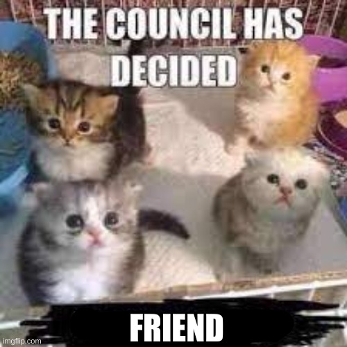 the council has decided | FRIEND | image tagged in the council has decided | made w/ Imgflip meme maker