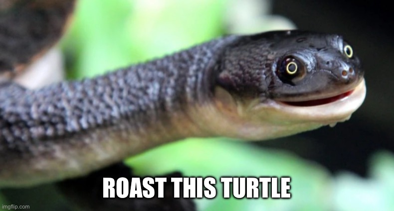 ROAST THIS TURTLE | image tagged in turtle,giraffe | made w/ Imgflip meme maker