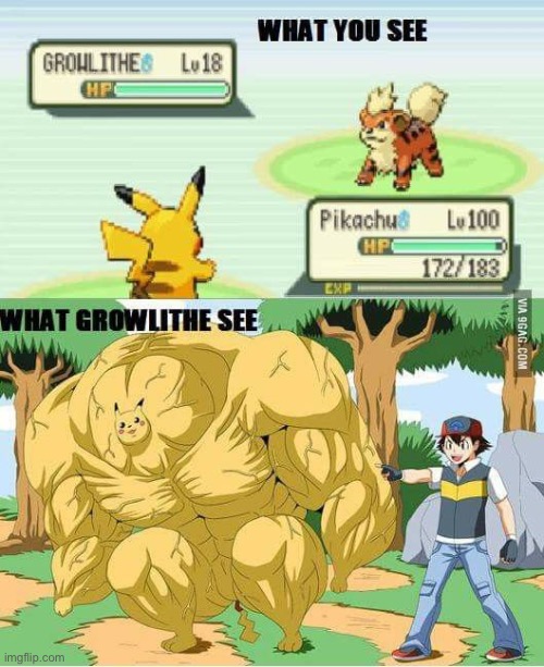 image tagged in pokemon | made w/ Imgflip meme maker