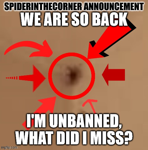 we are so back | WE ARE SO BACK; I'M UNBANNED, WHAT DID I MISS? | image tagged in spiderinthecorner announcement | made w/ Imgflip meme maker