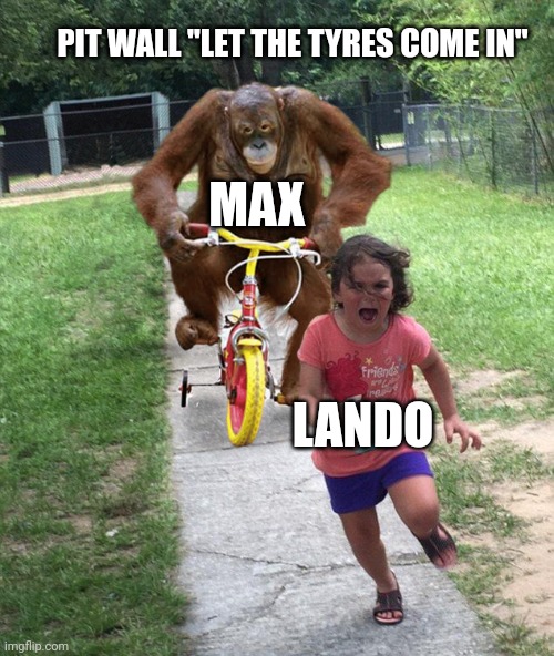 Orangutan chasing girl on a tricycle | PIT WALL "LET THE TYRES COME IN"; MAX; LANDO | image tagged in orangutan chasing girl on a tricycle,f1 | made w/ Imgflip meme maker