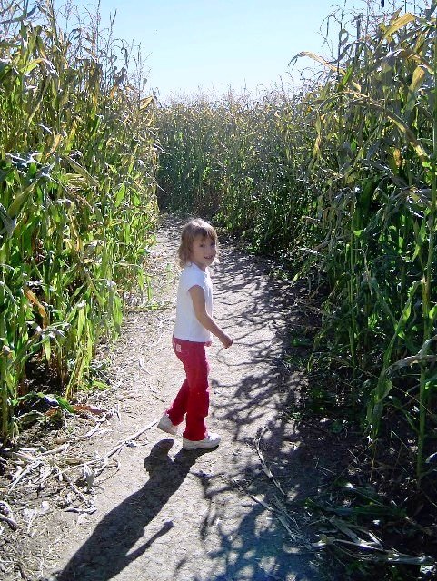 Girl In The Corn Blank Meme Template