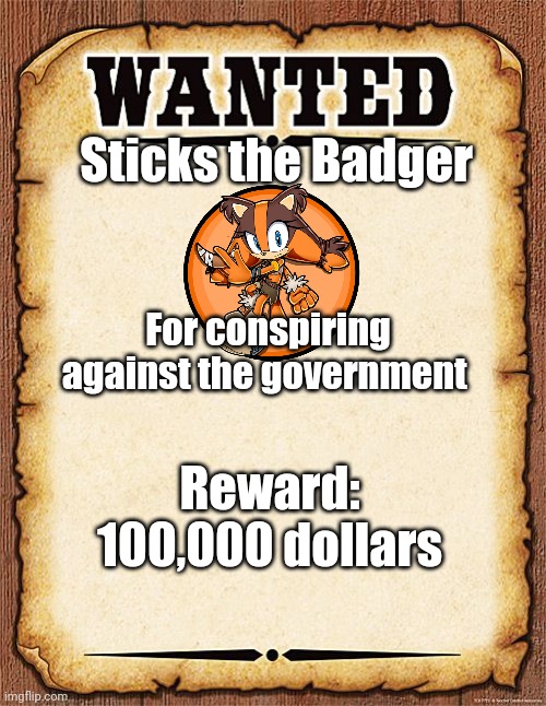 Wanted to do an RP with my favorite character (not my OC, from Sonic Boom) | Sticks the Badger; For conspiring against the government; Reward: 100,000 dollars | image tagged in wanted poster | made w/ Imgflip meme maker