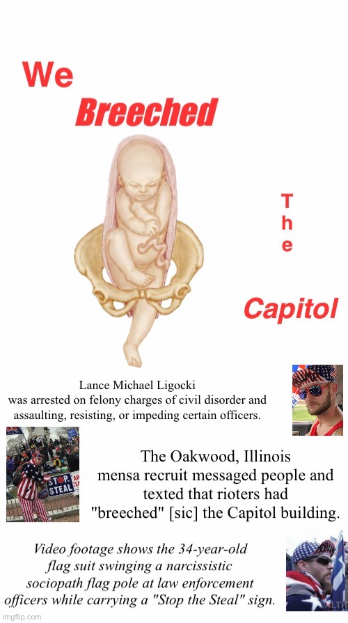 The Capital Breech | image tagged in capitol breach,tuff mouse with pole when in a crowd,assault,domestic terrorist,moron,losing snowflakes | made w/ Imgflip meme maker