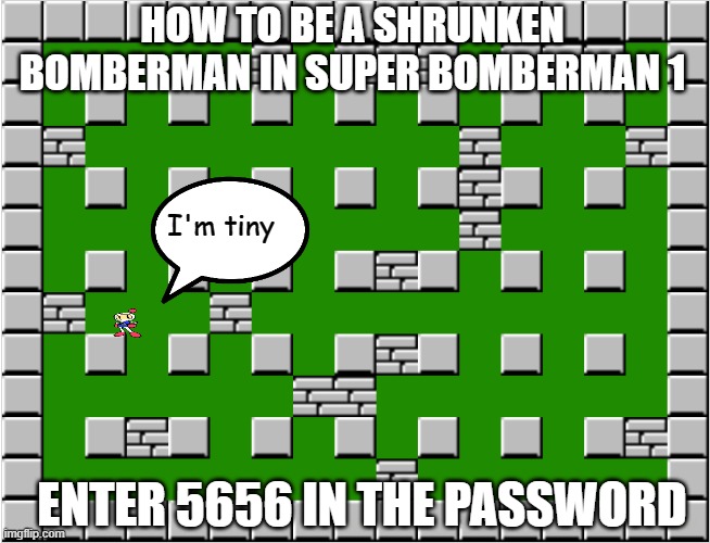 Bomberman level | HOW TO BE A SHRUNKEN BOMBERMAN IN SUPER BOMBERMAN 1; I'm tiny; ENTER 5656 IN THE PASSWORD | image tagged in bomberman level,super bomberman,memes,how to | made w/ Imgflip meme maker