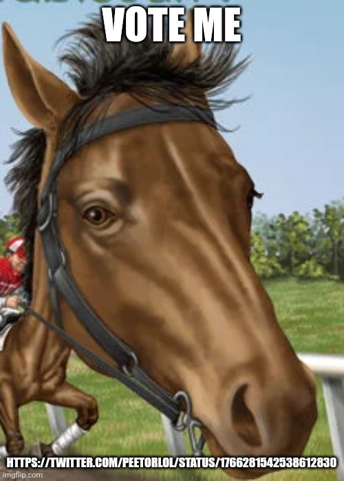 Big horse | VOTE ME; HTTPS://TWITTER.COM/PEETORLOL/STATUS/1766281542538612830 | image tagged in big horse | made w/ Imgflip meme maker