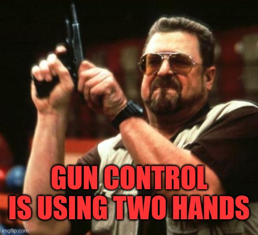 Two Hands | GUN CONTROL IS USING TWO HANDS | image tagged in gun,politics | made w/ Imgflip meme maker