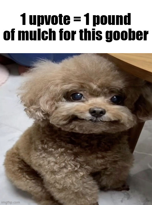 My only post for today. Screw you. | 1 upvote = 1 pound of mulch for this goober | made w/ Imgflip meme maker