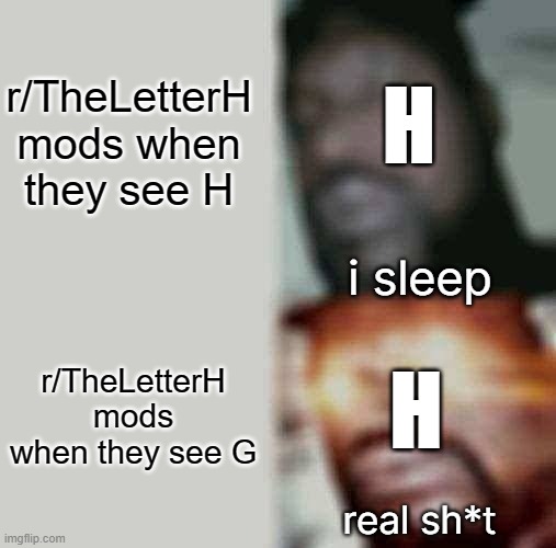 No G's allowed in r/TheLetterH | r/TheLetterH mods when they see H; H; i sleep; r/TheLetterH mods when they see G; H; real sh*t | image tagged in memes,sleeping shaq | made w/ Imgflip meme maker