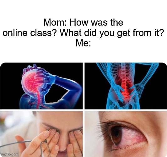 Endless Pain | Mom: How was the online class? What did you get from it?
Me: | image tagged in memes,funny,relatable | made w/ Imgflip meme maker