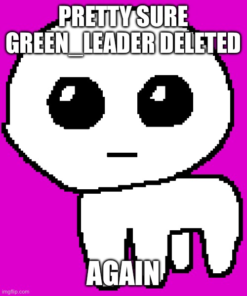 Yippee | PRETTY SURE GREEN_LEADER DELETED; AGAIN | image tagged in yippee | made w/ Imgflip meme maker