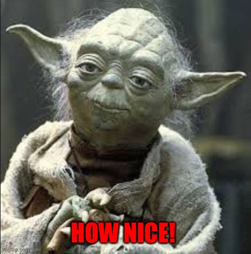 this is why we can't have nice things yoda | HOW NICE! | image tagged in this is why we can't have nice things yoda | made w/ Imgflip meme maker