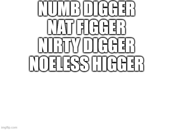 dont ask | NUMB DIGGER
NAT FIGGER
NIRTY DIGGER
NOELESS HIGGER | made w/ Imgflip meme maker