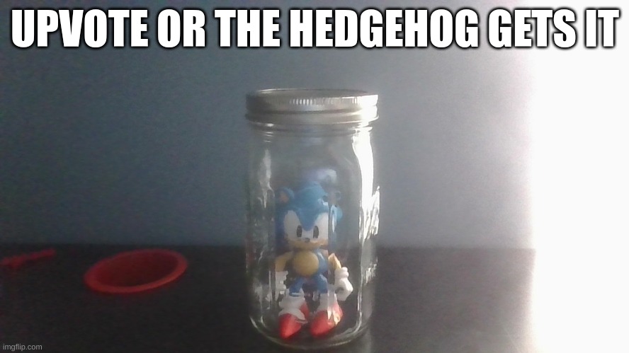 jar | UPVOTE OR THE HEDGEHOG GETS IT | image tagged in sonic the hedgehog,sonic,jar,memes,fun | made w/ Imgflip meme maker