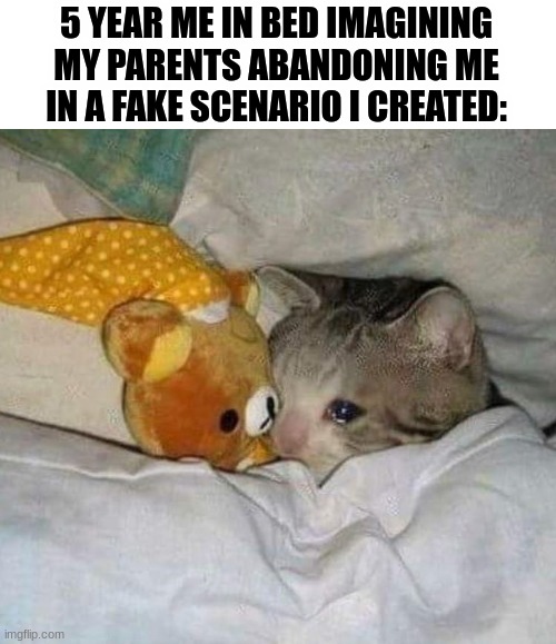 Me when I was 5 | 5 YEAR ME IN BED IMAGINING MY PARENTS ABANDONING ME IN A FAKE SCENARIO I CREATED: | image tagged in crying cat | made w/ Imgflip meme maker