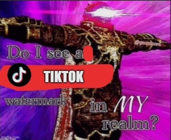 DO I SEE A TIKTOK WATERMARK IN MY REALM? | image tagged in do i see a tiktok watermark in my realm | made w/ Imgflip meme maker
