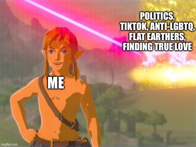 Link being unaffected by everything | POLITICS, TIKTOK, ANTI-LGBTQ, FLAT EARTHERS, FINDING TRUE LOVE; ME | image tagged in link being unaffected by everything,front page plz | made w/ Imgflip meme maker