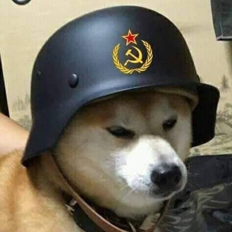 Soviet dog Blank Meme Template