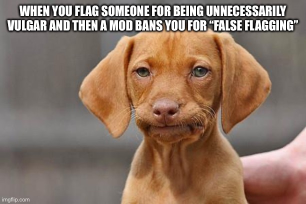 Like fr I didn’t come here for profanity | WHEN YOU FLAG SOMEONE FOR BEING UNNECESSARILY VULGAR AND THEN A MOD BANS YOU FOR “FALSE FLAGGING” | made w/ Imgflip meme maker