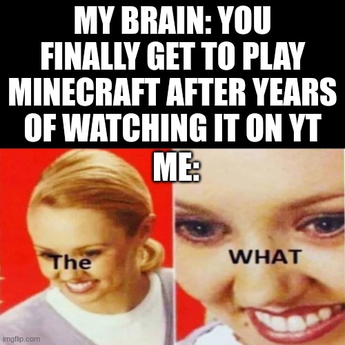 I have a copy of Minecraft now. | MY BRAIN: YOU FINALLY GET TO PLAY MINECRAFT AFTER YEARS OF WATCHING IT ON YT; ME: | image tagged in the what | made w/ Imgflip meme maker