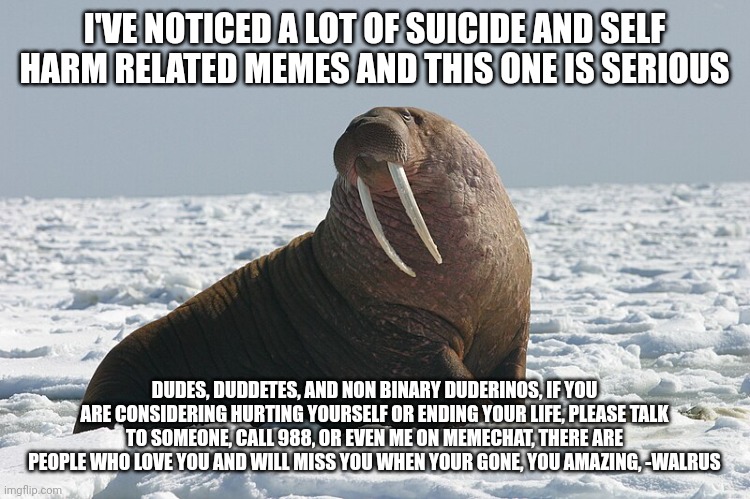 WALRUSMAN72 | I'VE NOTICED A LOT OF SUICIDE AND SELF HARM RELATED MEMES AND THIS ONE IS SERIOUS; DUDES, DUDDETES, AND NON BINARY DUDERINOS, IF YOU ARE CONSIDERING HURTING YOURSELF OR ENDING YOUR LIFE, PLEASE TALK TO SOMEONE, CALL 988, OR EVEN ME ON MEMECHAT, THERE ARE PEOPLE WHO LOVE YOU AND WILL MISS YOU WHEN YOUR GONE, YOU AMAZING, -WALRUS | image tagged in walrusman72 | made w/ Imgflip meme maker