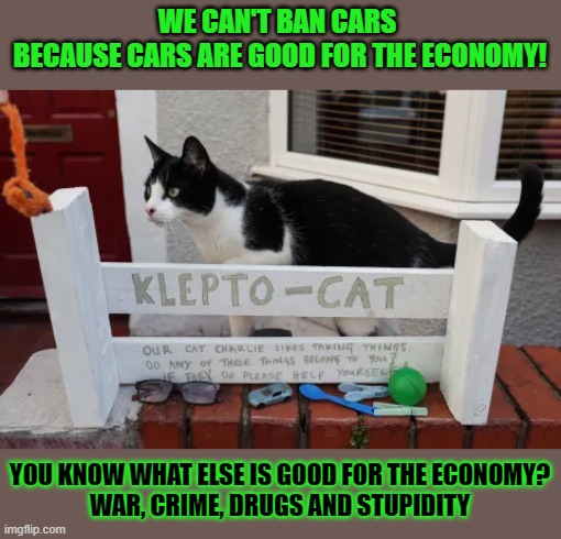 This #lolcat wonders if something should be allowed just 'because it's good for the economy!' | WE CAN'T BAN CARS 
BECAUSE CARS ARE GOOD FOR THE ECONOMY! YOU KNOW WHAT ELSE IS GOOD FOR THE ECONOMY?
WAR, CRIME, DRUGS AND STUPIDITY | image tagged in lolcat,economy,your argument is invalid,think about it | made w/ Imgflip meme maker