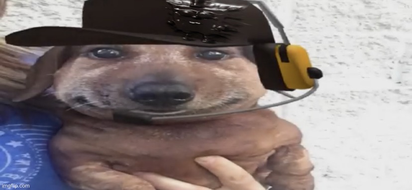 chucklebob | image tagged in chucklenuts | made w/ Imgflip meme maker