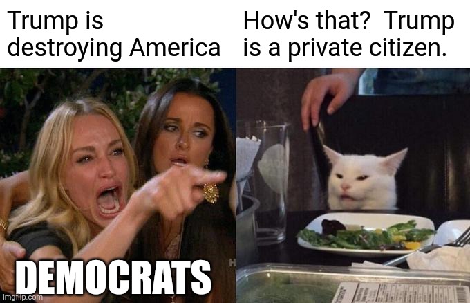 Socialism, fascism, communism and Nazism are NOT American.  Destroying those foreign ideologies is NOT destroying our democracy | Trump is destroying America; How's that?  Trump
is a private citizen. DEMOCRATS | image tagged in liberalism is not american,liberalism is the enemy of liberty | made w/ Imgflip meme maker