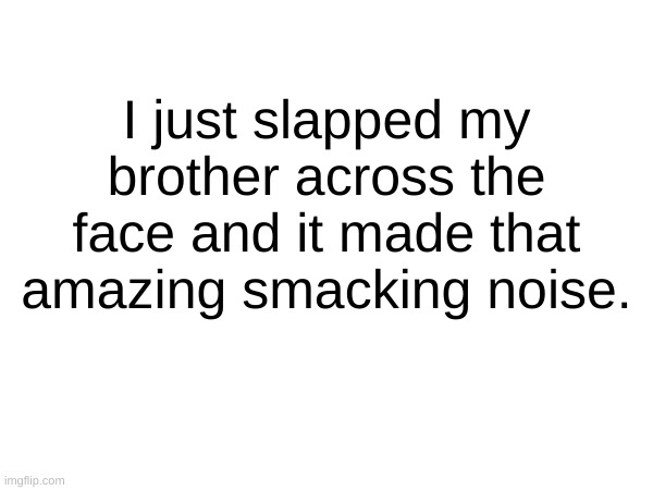 I just slapped my brother across the face and it made that amazing smacking noise. | made w/ Imgflip meme maker