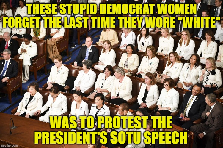 Toxic femininity | THESE STUPID DEMOCRAT WOMEN FORGET THE LAST TIME THEY WORE "WHITE" WAS TO PROTEST THE PRESIDENT'S SOTU SPEECH | image tagged in toxic femininity | made w/ Imgflip meme maker
