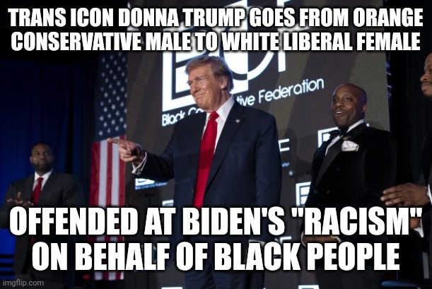 Racism which I thought was now a meaningless word lol | TRANS ICON DONNA TRUMP GOES FROM ORANGE CONSERVATIVE MALE TO WHITE LIBERAL FEMALE; OFFENDED AT BIDEN'S "RACISM" ON BEHALF OF BLACK PEOPLE | image tagged in humor,dark humor | made w/ Imgflip meme maker