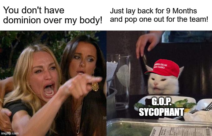 Autonomy 101 fail | You don't have dominion over my body! Just lay back for 9 Months and pop one out for the team! G.O.P.
SYCOPHANT | image tagged in memes,woman yelling at cat,abortion,gop,bodily autonomy,rights | made w/ Imgflip meme maker