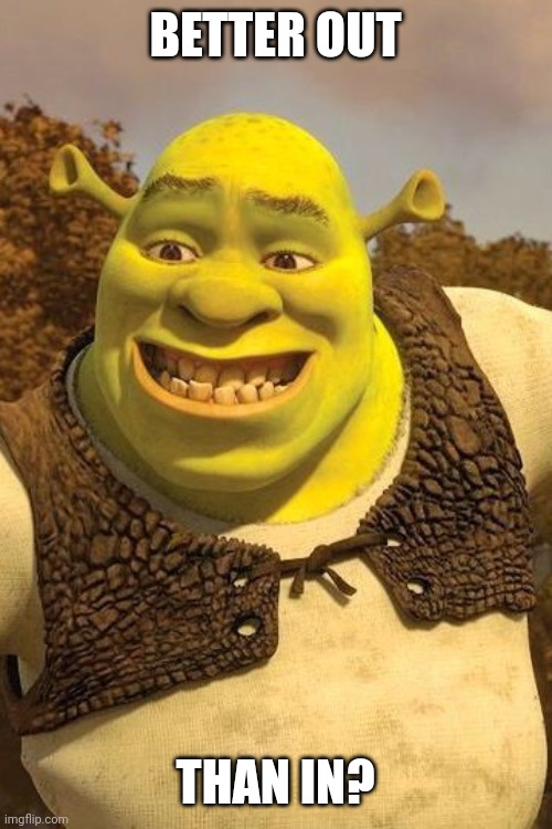 Smiling Shrek | BETTER OUT THAN IN? | image tagged in smiling shrek | made w/ Imgflip meme maker