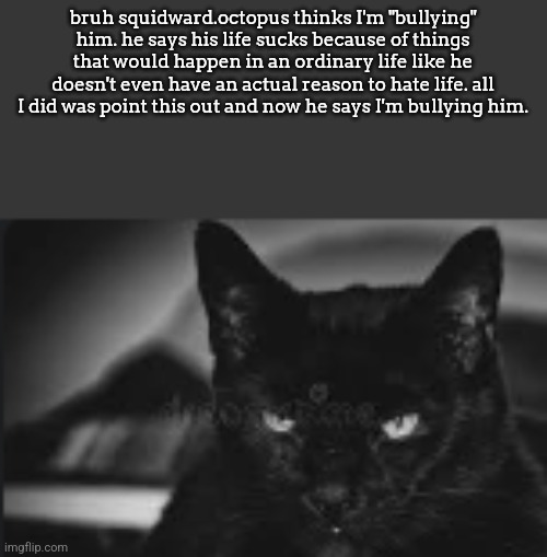 the are you Fr cat | bruh squidward.octopus thinks I'm "bullying" him. he says his life sucks because of things that would happen in an ordinary life like he doesn't even have an actual reason to hate life. all I did was point this out and now he says I'm bullying him. | image tagged in the are you fr cat | made w/ Imgflip meme maker