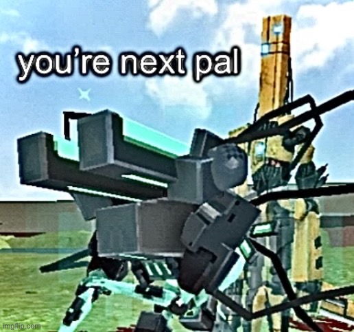 you’re next pal | image tagged in you re next pal | made w/ Imgflip meme maker