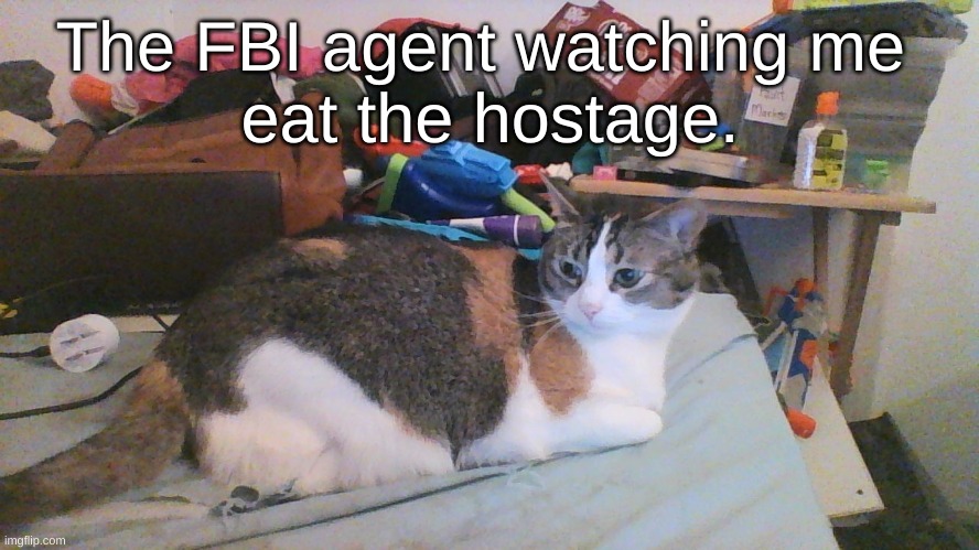 Yummy Hostage | The FBI agent watching me 
eat the hostage. | image tagged in fbi,cats | made w/ Imgflip meme maker