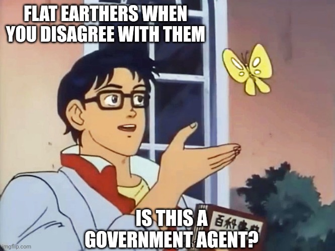 ANIME BUTTERFLY MEME | FLAT EARTHERS WHEN YOU DISAGREE WITH THEM; IS THIS A GOVERNMENT AGENT? | image tagged in anime butterfly meme,flat earth | made w/ Imgflip meme maker