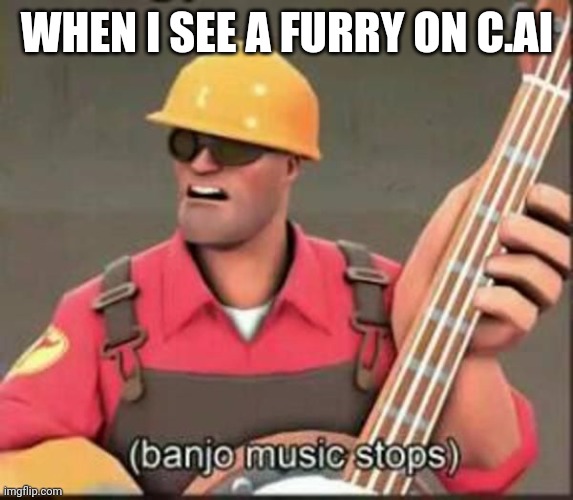 banjo music stops | WHEN I SEE A FURRY ON C.AI | image tagged in banjo music stops | made w/ Imgflip meme maker