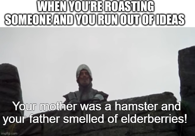 Your mother was a hamster | WHEN YOU’RE ROASTING SOMEONE AND YOU RUN OUT OF IDEAS | image tagged in your mother was a hamster | made w/ Imgflip meme maker